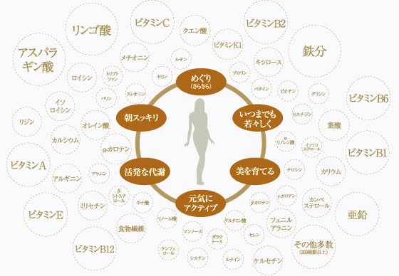 200種類の栄養素