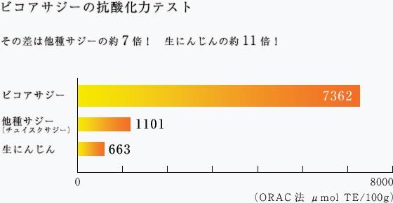 ビコアサジーの抗酸化力テスト